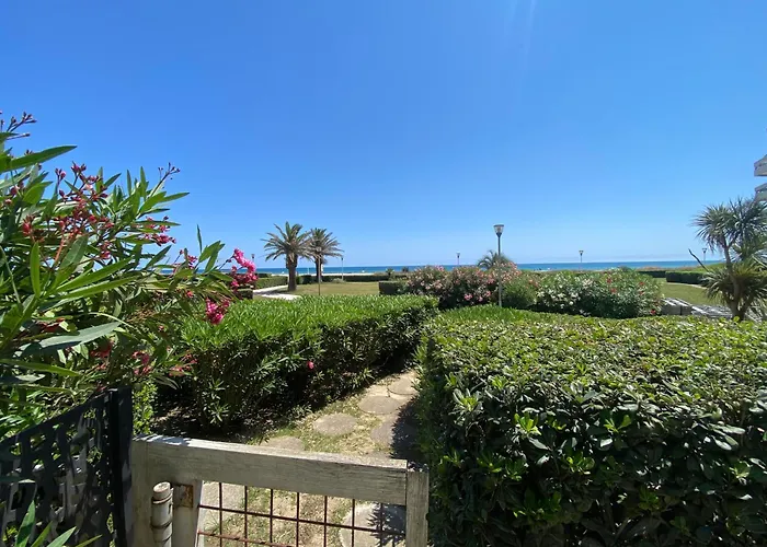 Daire Les Pieds Dans L'eau *